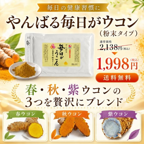 【SALE】やんばる毎日ウコン3種粉末タイプ 100g【単品～20個セット】
