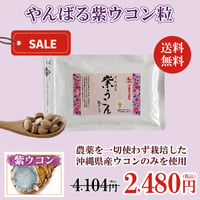 【訳ありSALE】やんばる紫ウコン粒タイプ 500粒【単品～10個セット】