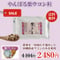 【訳ありSALE】やんばる紫ウコン粒タイプ 500粒【単品～10個セット】