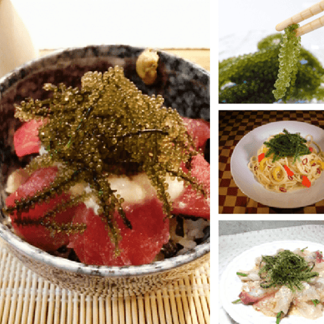 海ぶどう100g（生）タレ付き