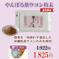 やんばる紫ウコン粉末タイプ 100g【単品～20個セット】