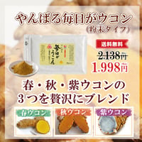 やんばる毎日ウコン3種粉末タイプ 100g【単品～20個セット】