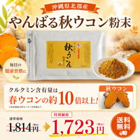 やんばる秋ウコン粉末タイプ 100g【単品～20個セット】