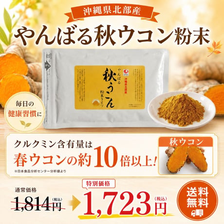 【SALE】やんばる秋ウコン粉末タイプ 100g【単品～20個セット】