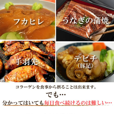 パウダーコラーゲン 100g【単品～10個セット】