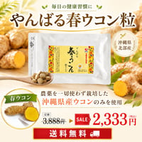 【SALE】やんばる春ウコン粒タイプ 500粒【単品～10個セット】