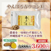 やんばる春ウコン粒タイプ 500粒【単品～10個セット】