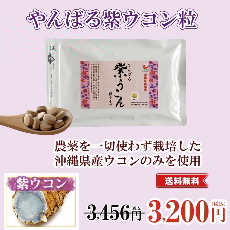 やんばる紫ウコン粒タイプ 500粒【単品～10個セット】 | 沖縄