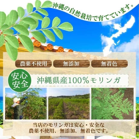【SALE】モリンガ粉末（パウダー）60g入り【単品～20個セット】