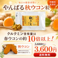 やんばる秋ウコン粒タイプ 500粒【単品～10個セット】