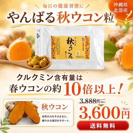 【SALE】やんばる秋ウコン粒タイプ 500粒【単品～10個セット】