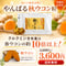 やんばる秋ウコン粒タイプ 500粒【単品~10個セット】