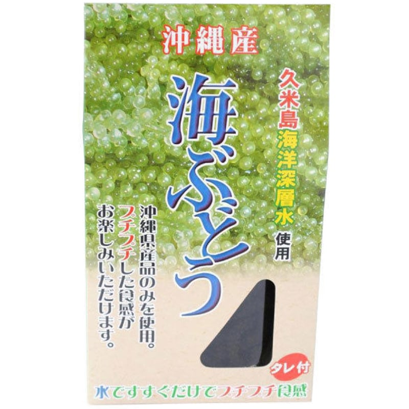 茎付海ぶどう（90g） 海ぶどうの通販なら『金ちゃんちの海