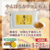やんばる春ウコン粉末タイプ 100g【単品～20個セット】