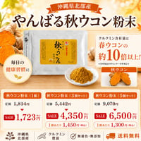 【SALE】やんばる秋ウコン粉末タイプ 100g【単品～20個セット】
