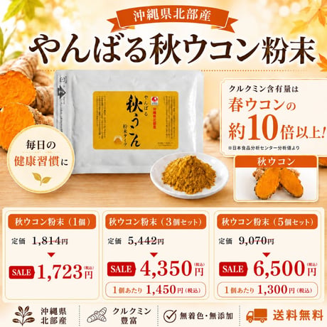 【SALE】やんばる秋ウコン粉末タイプ 100g【単品～20個セット】