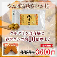 やんばる秋ウコン粒タイプ 500粒【単品～10個セット】