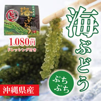 海ぶどう100g（生）タレ付き