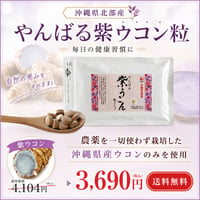 やんばる紫ウコン粒タイプ 500粒【単品～10個セット】