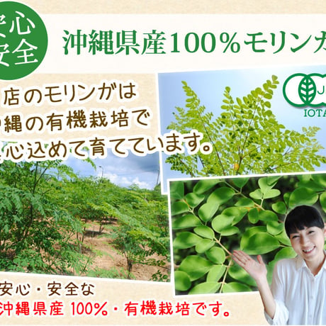 有機モリンガ茶（ティーパック20包入り） 【単品～40個セット】