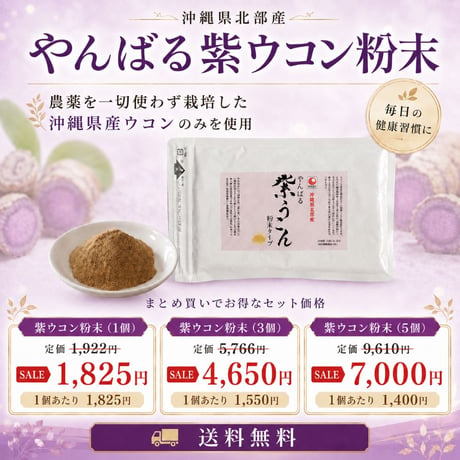【SALE】やんばる紫ウコン粉末タイプ 100g【単品～20個セット】
