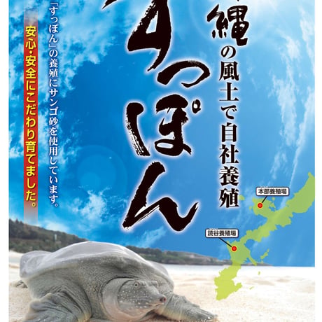 琉球すっぽん粉末【単品～10個セット】