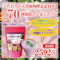 沖縄美ら酵素スムージー【単品～20個セット】