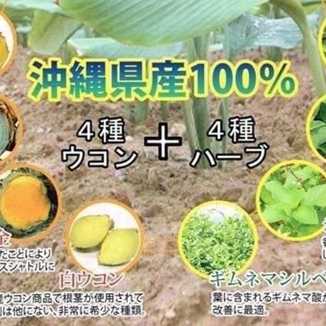 琉球酒豪伝説 6包入り×10個セット