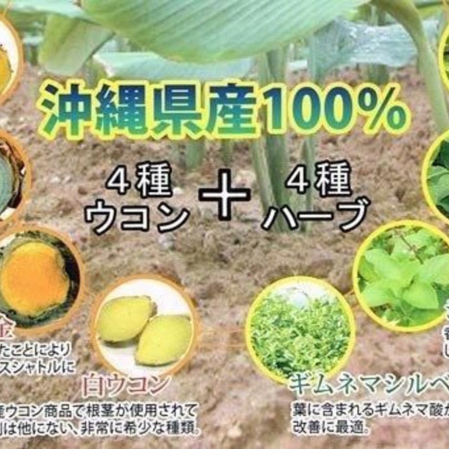 5cc1534a272bd04c853bd026