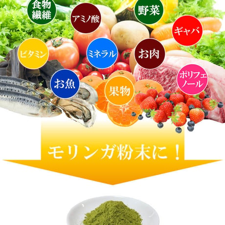 【SALE】モリンガ粉末（パウダー）60g入り【単品～20個セット】