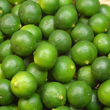 シークヮーサーパウダー 60g