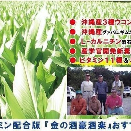酒豪酒楽ゴールド 100包入り