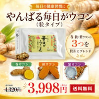 やんばる毎日ウコン3種粒タイプ 500粒【単品～10個セット】