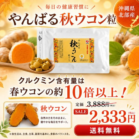 【SALE】やんばる秋ウコン粒タイプ 500粒【単品～10個セット】