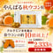 【SALE】やんばる秋ウコン粒タイプ 500粒【単品~10個セット】