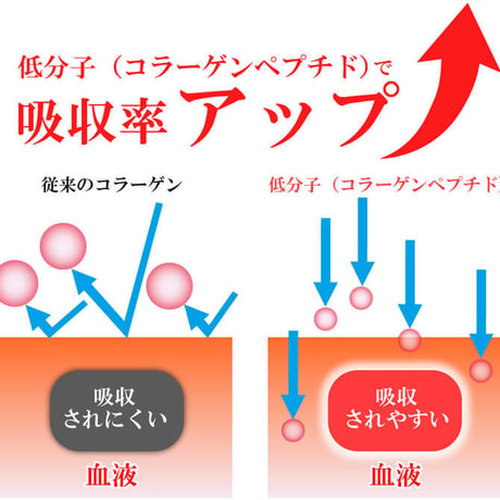 パウダーコラーゲン 100g【単品～10個セット】