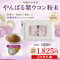 やんばる紫ウコン粉末タイプ 100g【単品～20個セット】