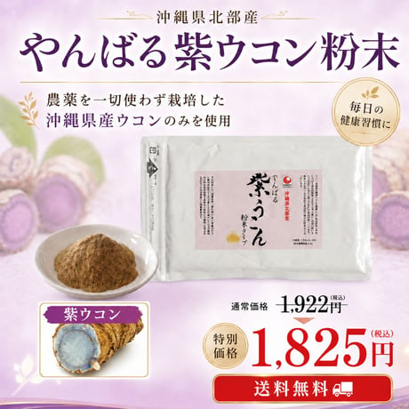 【SALE】やんばる紫ウコン粉末タイプ 100g【単品～20個セット】