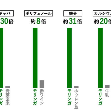 モリンガ粒＆ネオ（Neo）お試しセット
