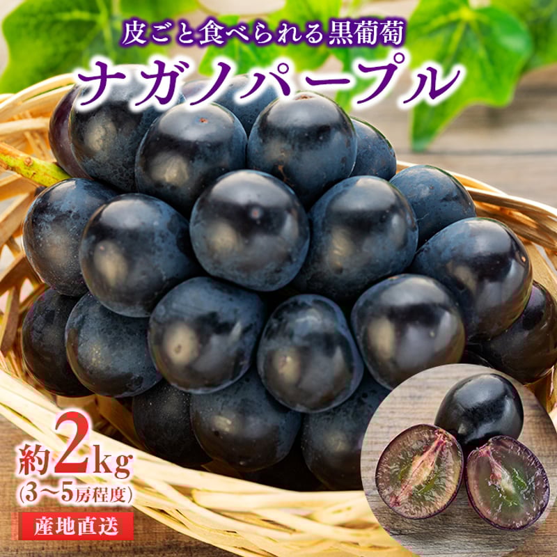 信州産　ナガノパープル　3kg 送料無料】ナガノパープル 3kg｜小布施屋
