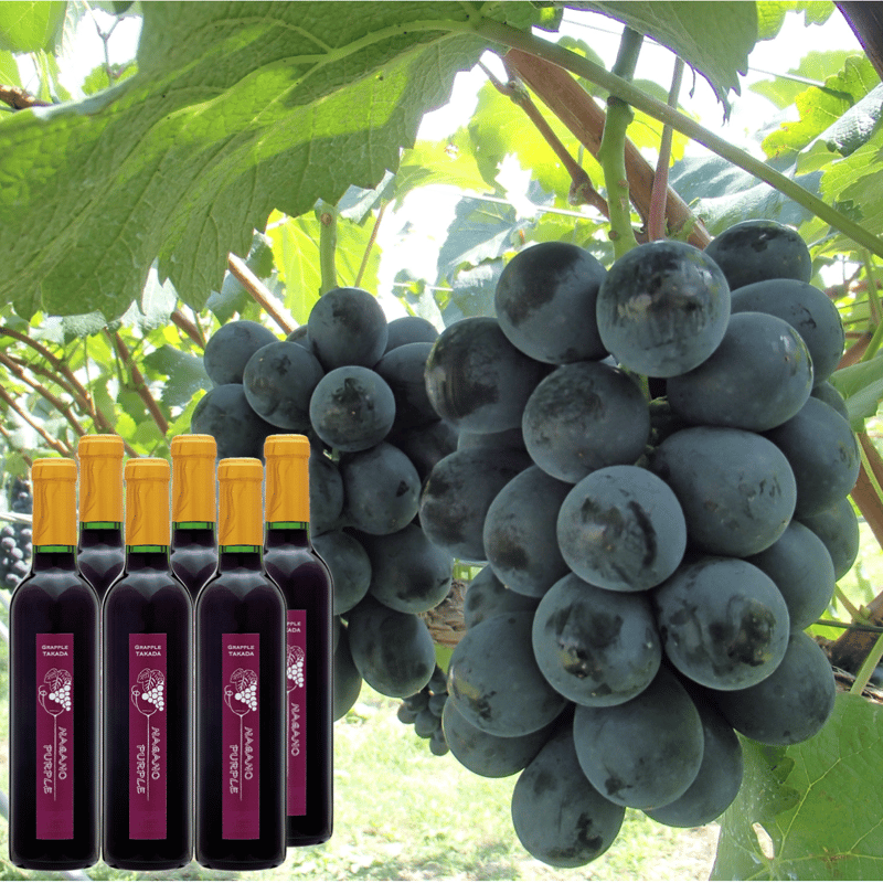 ナガノパープルワイン 6本組 | GRAPPLE TAKADA