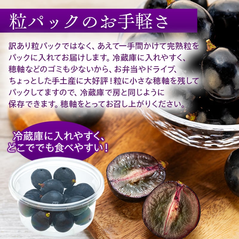 ナガノパープル粒パック中箱 (9パック入,4-5房分) | GRAPPLE TAKADA