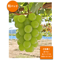 シナノスマイル中箱 (3-5房程度) | GRAPPLE TAKADA