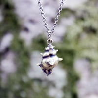 金色トゲトゲ貝のペンダントトップ