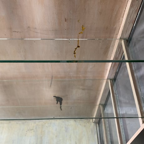 アンティーク 黒ケビント 3面ガラス 4枚棚板 硝子 2杯引出し 真鍮金具 昭和期 古いガラスケース 陳列棚 ジャパンヴィンテージ 陳列棚 希少完品範疇