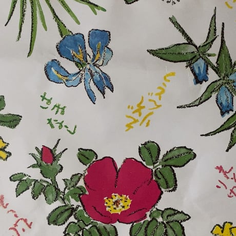 深川製 六花亭の湯呑と紙袋2点(大小) 坂本直行 さかもと なおゆき 画家 作  ミズバショウ 花の絵  深川製磁 富士流水のマーク  オールド深川 北海道名菓