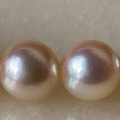 MIKIMOTO  オールドミキモト 本パールネックレス 約6mm玉 真珠/銀 シルバー 全長41cm  ヴィンテージパール