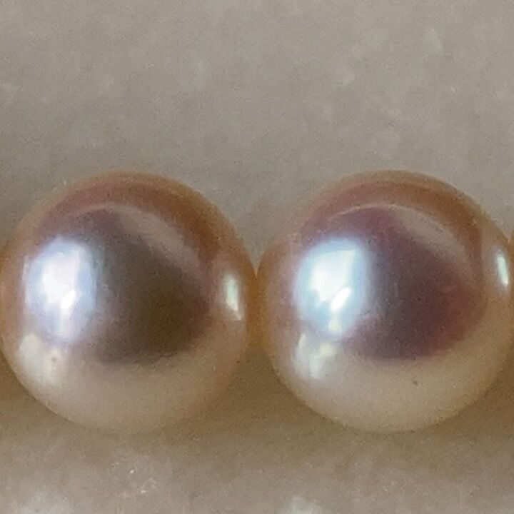 MIKIMOTO オールドミキモト 本パールネックレス 約6mm玉 真珠/銀 MIKIMOTO オールドミキモト 本パールネックレス 約6mm玉 真珠/銀