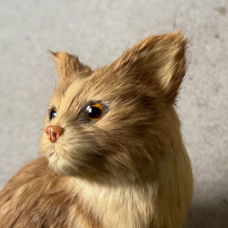 1970年代大丸販売品 猫の置物 リアルファー 茶虎 ヴィンテージドール 人形 剥製級のリアルさ  珍品