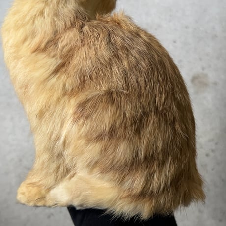 1970年代大丸販売品 猫の置物 リアルファー 茶虎 ヴィンテージドール 人形 剥製級のリアルさ  珍品